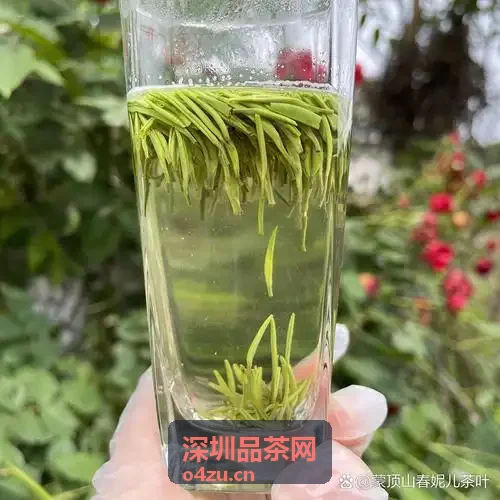 深圳品茶网-深圳茶馆探店图